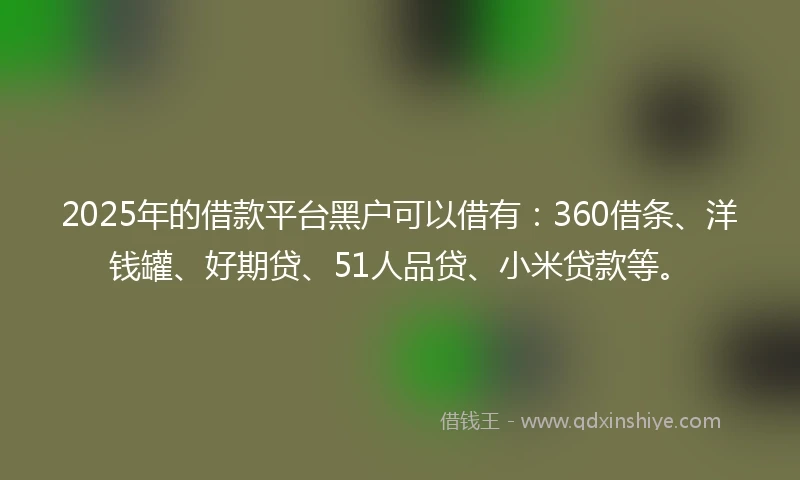 2025年的借款平台黑户可以借有：360借条、洋钱罐、好期贷、51人品贷、小米贷款等。
