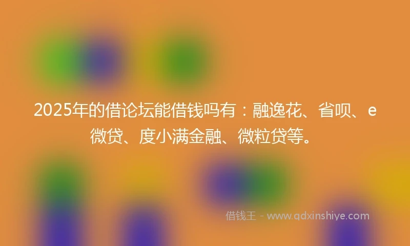 2025年的借论坛能借钱吗有：融逸花、省呗、e微贷、度小满金融、微粒贷等。