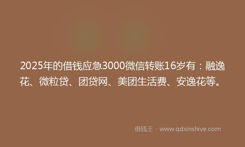 2025年的借钱应急3000微信转账16岁有：融逸花、微粒贷、团贷网、美团生活费、安逸花等。