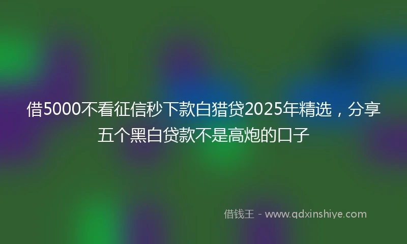 借5000不看征信秒下款白猎贷2025年精选，分享五个黑白贷款不是高炮的口子