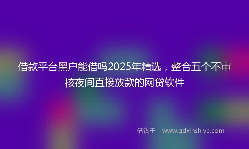 借款平台黑户能借吗2025年精选，整合五个不审核夜间直接放款的网贷软件