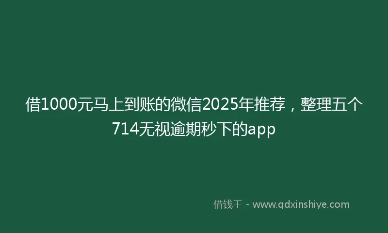 借1000元马上到账的微信2025年推荐，整理五个714无视逾期秒下的app