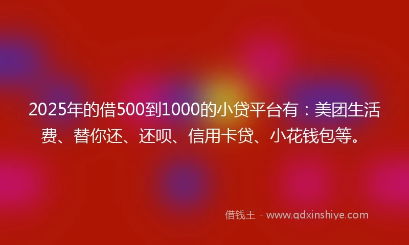2025年的借500到1000的小贷平台有：美团生活费、替你还、还呗、信用卡贷、小花钱包等。