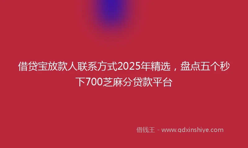 借贷宝放款人联系方式2025年精选，盘点五个秒下700芝麻分贷款平台