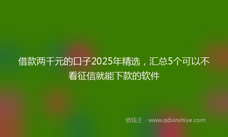 借款两千元的口子2025年精选，汇总5个可以不看征信就能下款的软件