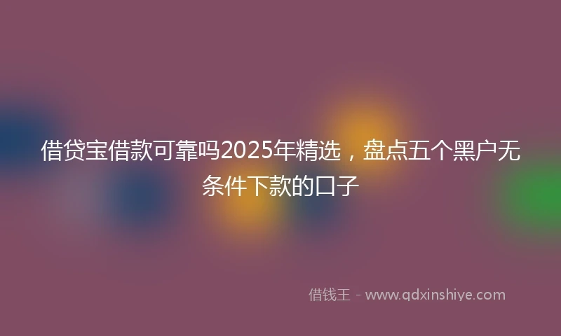 借贷宝借款可靠吗2025年精选，盘点五个黑户无条件下款的口子