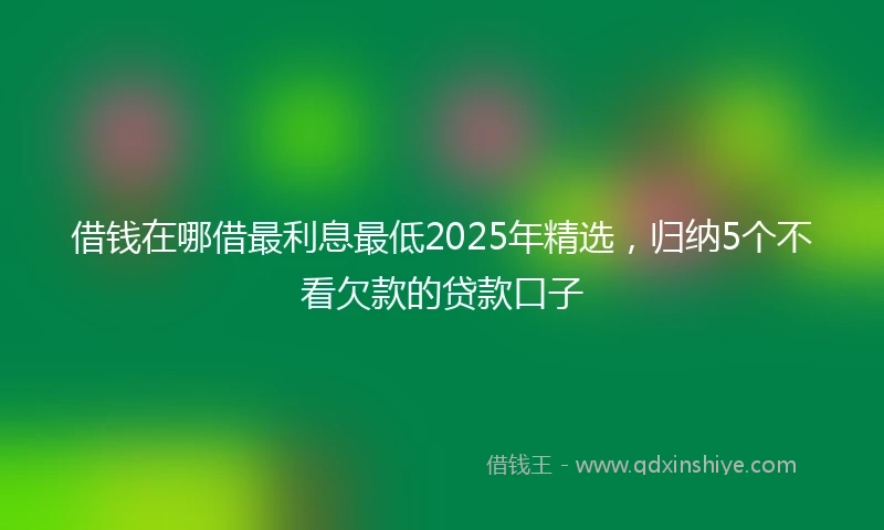 借钱在哪借最利息最低2025年精选，归纳5个不看欠款的贷款口子