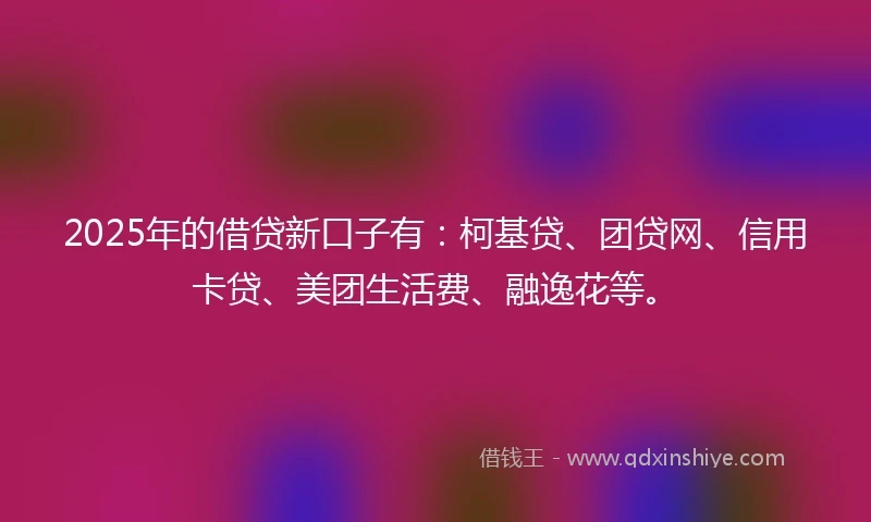2025年的借贷新口子有：柯基贷、团贷网、信用卡贷、美团生活费、融逸花等。
