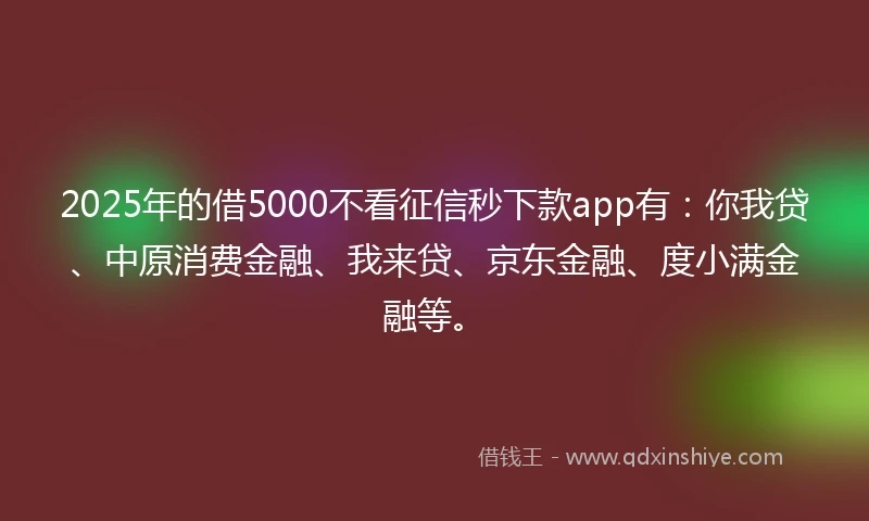 2025年的借5000不看征信秒下款app有：你我贷、中原消费金融、我来贷、京东金融、度小满金融等。
