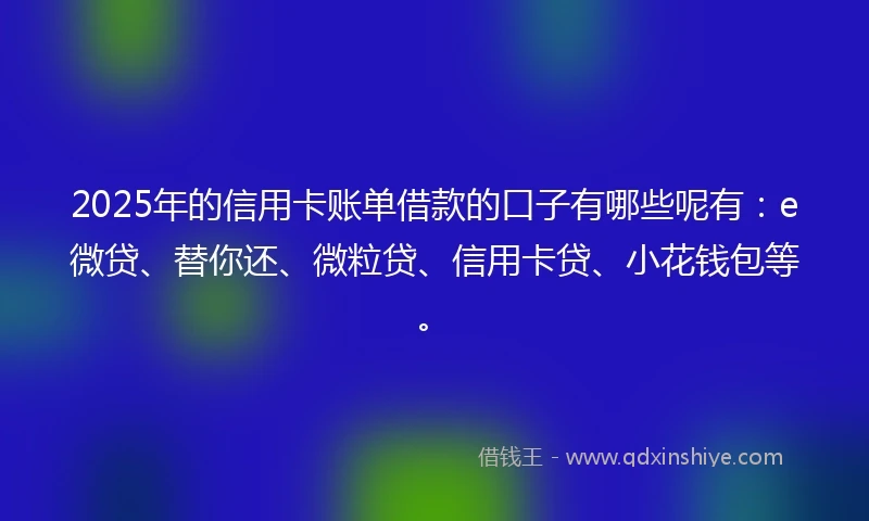 2025年的信用卡账单借款的口子有哪些呢有：e微贷、替你还、微粒贷、信用卡贷、小花钱包等。