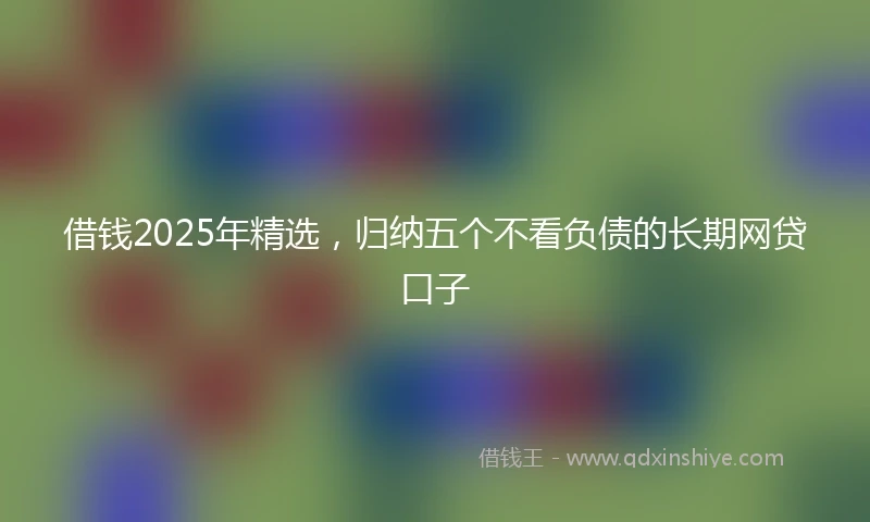 借钱2025年精选，归纳五个不看负债的长期网贷口子