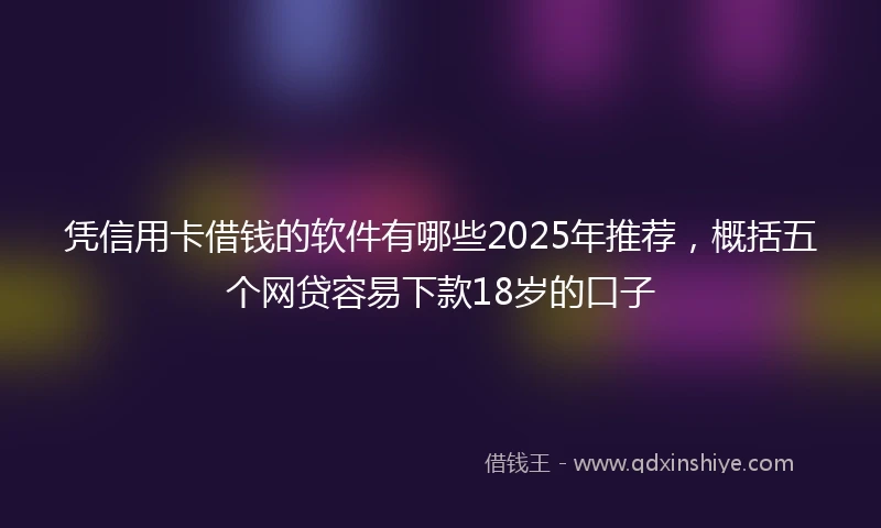 凭信用卡借钱的软件有哪些2025年推荐，概括五个网贷容易下款18岁的口子