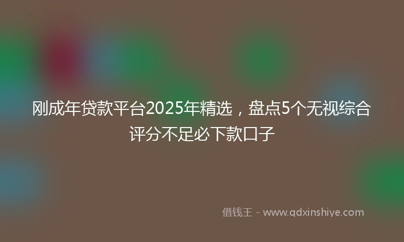 刚成年贷款平台2025年精选，盘点5个无视综合评分不足必下款口子