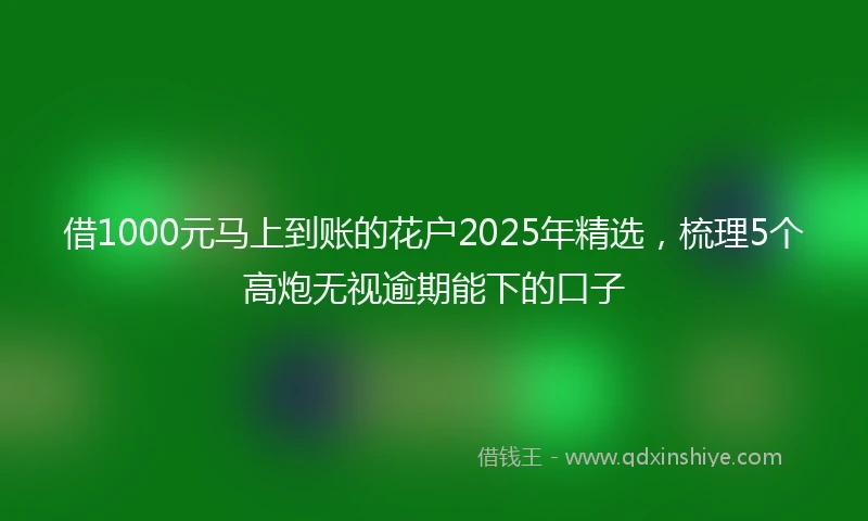 借1000元马上到账的花户2025年精选，梳理5个高炮无视逾期能下的口子