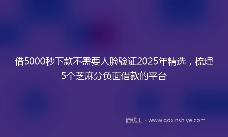 借5000秒下款不需要人脸验证2025年精选，梳理5个芝麻分负面借款的平台