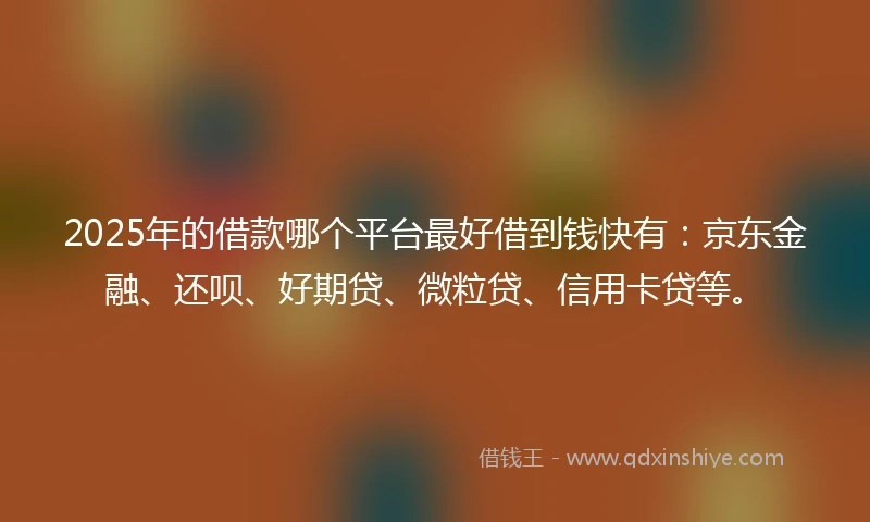 2025年的借款哪个平台最好借到钱快有：京东金融、还呗、好期贷、微粒贷、信用卡贷等。