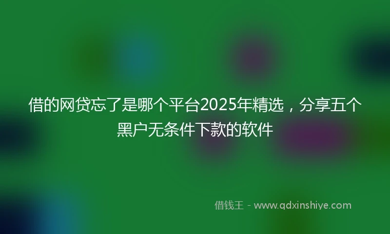 借的网贷忘了是哪个平台2025年精选，分享五个黑户无条件下款的软件