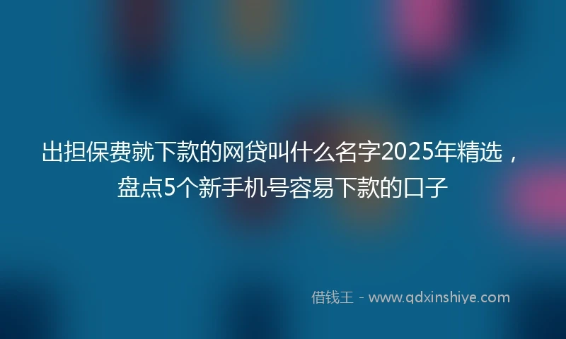 出担保费就下款的网贷叫什么名字2025年精选，盘点5个新手机号容易下款的口子