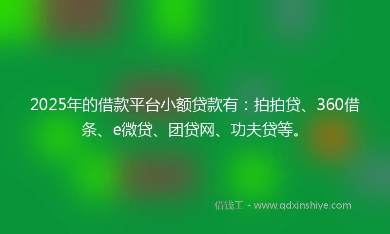2025年的借款平台小额贷款有：拍拍贷、360借条、e微贷、团贷网、功夫贷等。