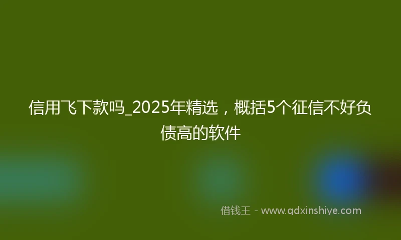 信用飞下款吗_2025年精选，概括5个征信不好负债高的软件