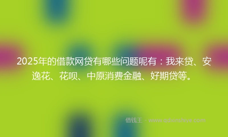 2025年的借款网贷有哪些问题呢有：我来贷、安逸花、花呗、中原消费金融、好期贷等。