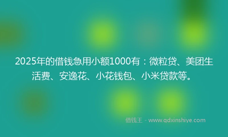 2025年的借钱急用小额1000有：微粒贷、美团生活费、安逸花、小花钱包、小米贷款等。