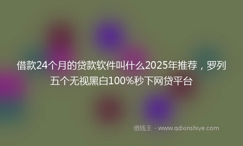 借款24个月的贷款软件叫什么2025年推荐，罗列五个无视黑白100%秒下网贷平台