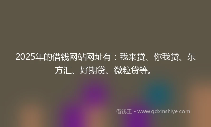 2025年的借钱网站网址有：我来贷、你我贷、东方汇、好期贷、微粒贷等。