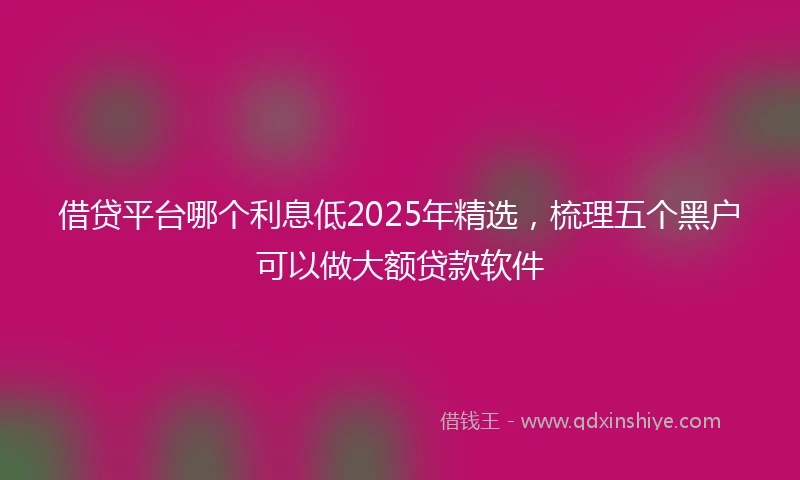借贷平台哪个利息低2025年精选，梳理五个黑户可以做大额贷款软件