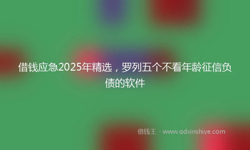 借钱应急2025年精选，罗列五个不看年龄征信负债的软件