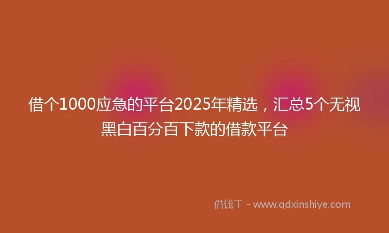 借个1000应急的平台2025年精选，汇总5个无视黑白百分百下款的借款平台