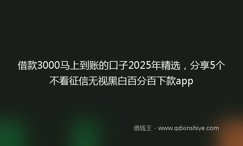 借款3000马上到账的口子2025年精选，分享5个不看征信无视黑白百分百下款app