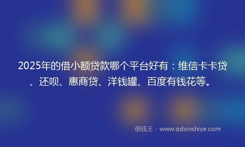 2025年的借小额贷款哪个平台好有：维信卡卡贷、还呗、惠商贷、洋钱罐、百度有钱花等。
