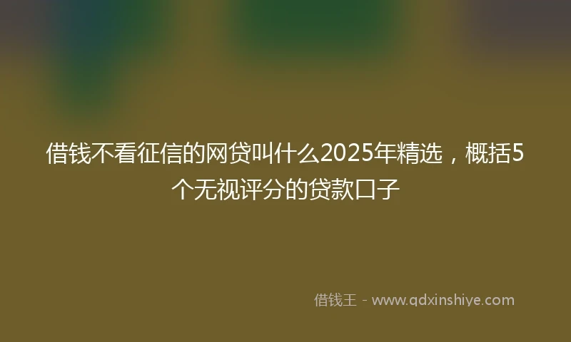 借钱不看征信的网贷叫什么2025年精选，概括5个无视评分的贷款口子