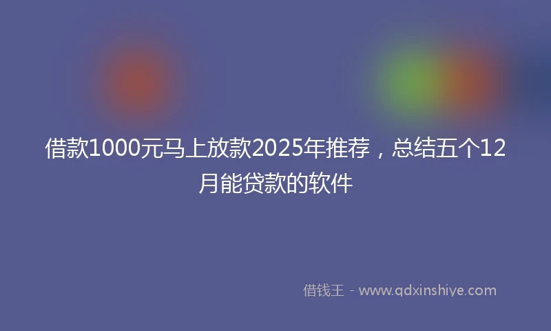 借款1000元马上放款2025年推荐，总结五个12月能贷款的软件