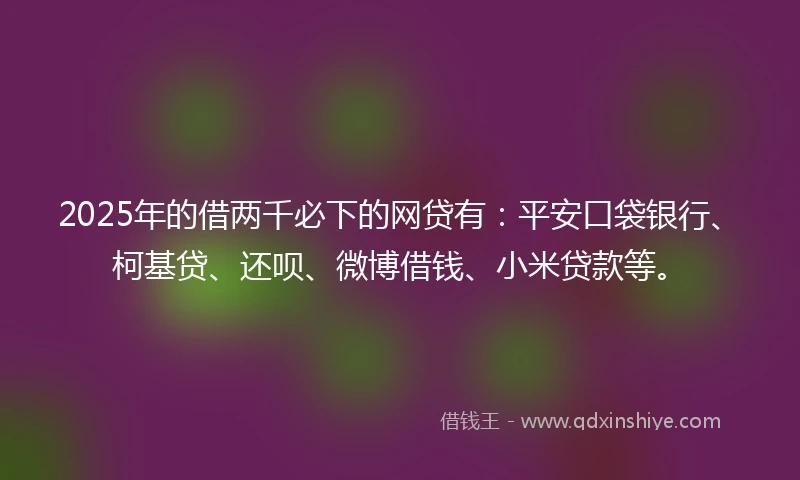 2025年的借两千必下的网贷有：平安口袋银行、柯基贷、还呗、微博借钱、小米贷款等。