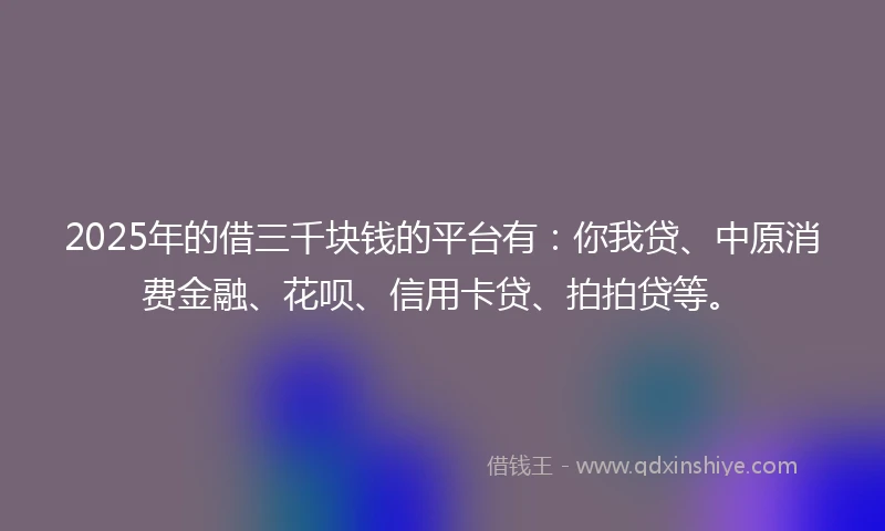 2025年的借三千块钱的平台有：你我贷、中原消费金融、花呗、信用卡贷、拍拍贷等。