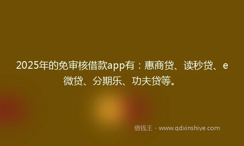 2025年的免审核借款app有：惠商贷、读秒贷、e微贷、分期乐、功夫贷等。