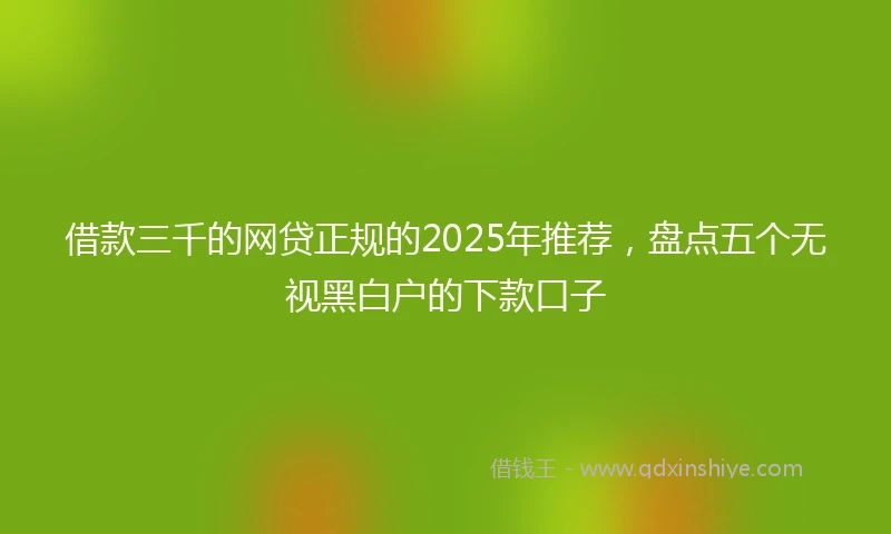 借款三千的网贷正规的2025年推荐，盘点五个无视黑白户的下款口子