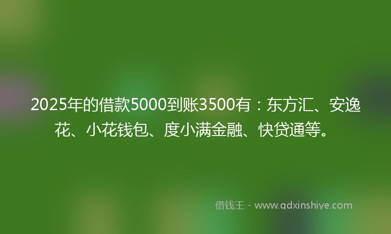 2025年的借款5000到账3500有：东方汇、安逸花、小花钱包、度小满金融、快贷通等。
