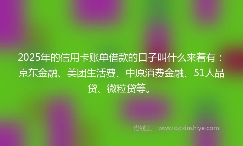 2025年的信用卡账单借款的口子叫什么来着有：京东金融、美团生活费、中原消费金融、51人品贷、微粒贷等。