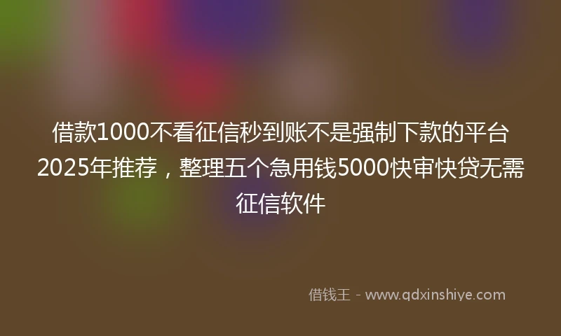 借款1000不看征信秒到账不是强制下款的平台2025年推荐，整理五个急用钱5000快审快贷无需征信软件