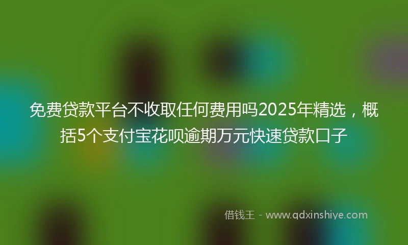 免费贷款平台不收取任何费用吗2025年精选，概括5个支付宝花呗逾期万元快速贷款口子