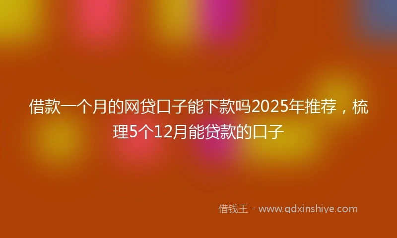 借款一个月的网贷口子能下款吗2025年推荐，梳理5个12月能贷款的口子