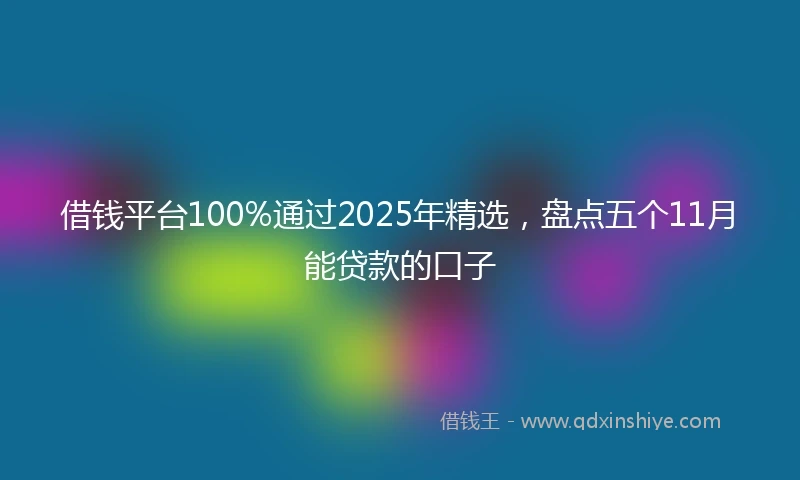 借钱平台100%通过2025年精选，盘点五个11月能贷款的口子