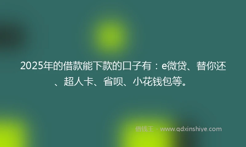 2025年的借款能下款的口子有：e微贷、替你还、超人卡、省呗、小花钱包等。