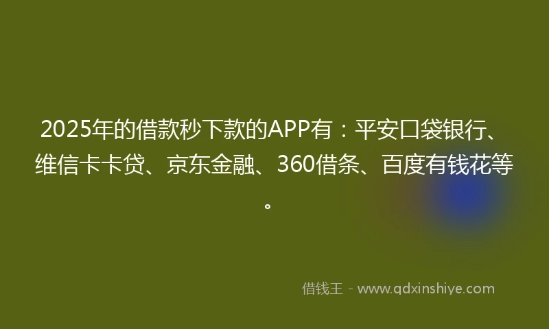 2025年的借款秒下款的APP有：平安口袋银行、维信卡卡贷、京东金融、360借条、百度有钱花等。