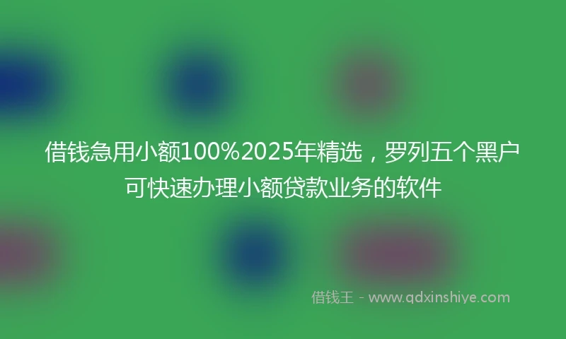 借钱急用小额100%2025年精选，罗列五个黑户可快速办理小额贷款业务的软件