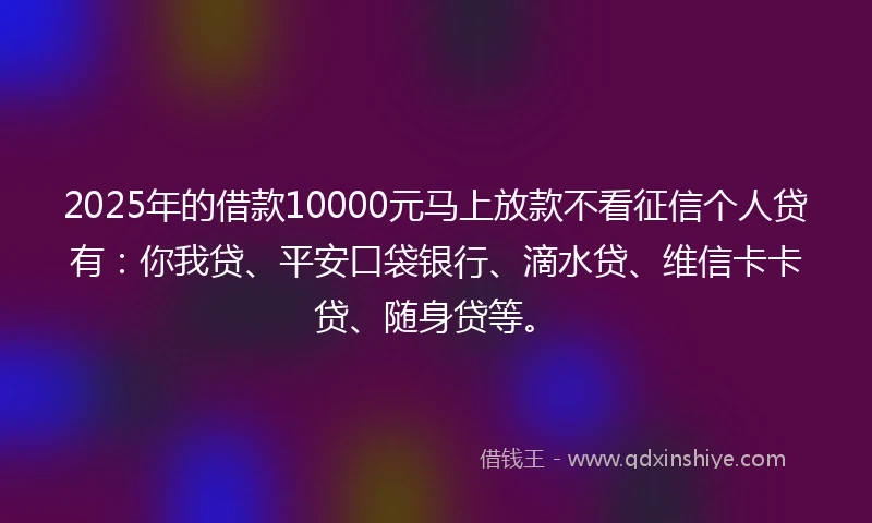 2025年的借款10000元马上放款不看征信个人贷有：你我贷、平安口袋银行、滴水贷、维信卡卡贷、随身贷等。