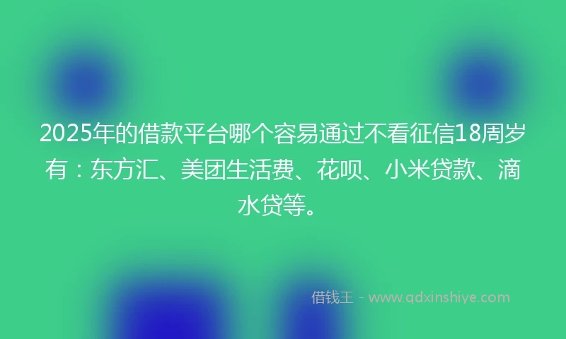 2025年的借款平台哪个容易通过不看征信18周岁有：东方汇、美团生活费、花呗、小米贷款、滴水贷等。